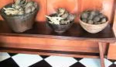 Page Profile Kainara 5 101_umbi_rz