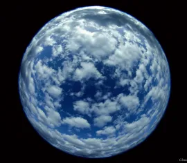 Category A Barang A1