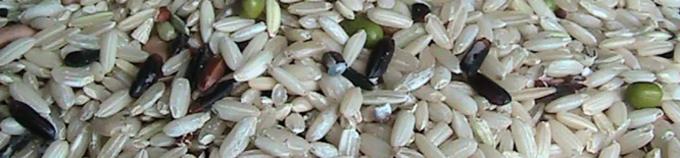 Slideshow Slideshow 3 25 