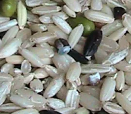 Slideshow Slideshow 3