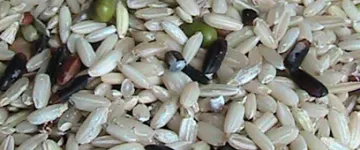 Slideshow Slideshow 3 25 