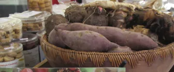 Slideshow Slideshow 4 26 