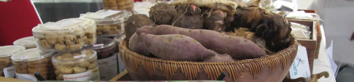 Slideshow Slideshow 4 26 