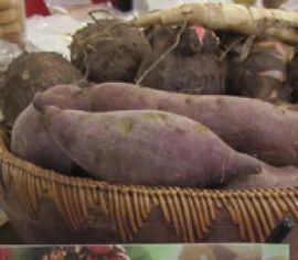 Slideshow Slideshow 4