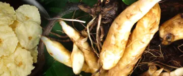 Slideshow Slideshow 5 27 