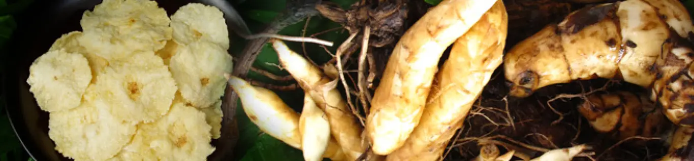 Slideshow Slideshow 5 27 