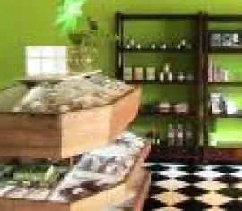 Page Profile Kainara