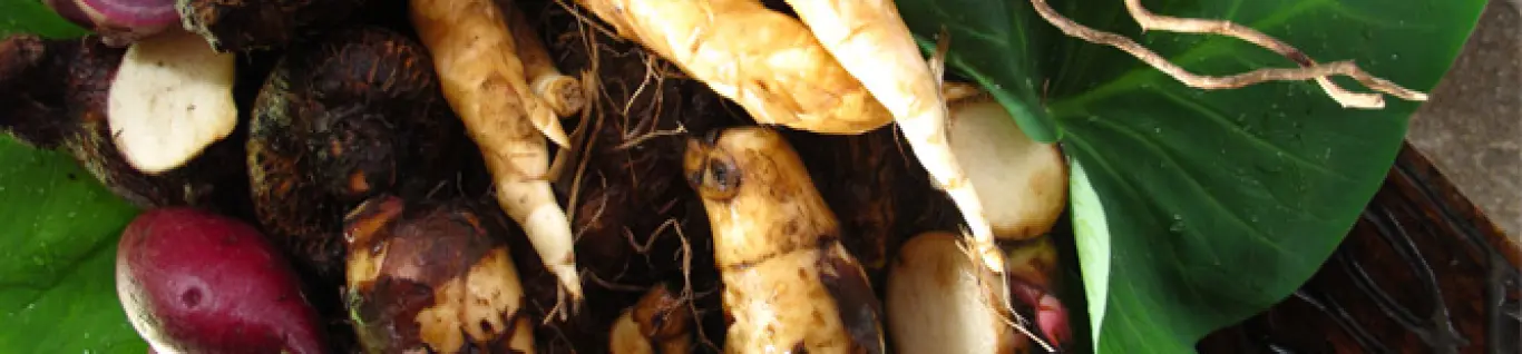 Slideshow Slideshow 1 foto slide show1