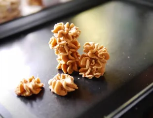 COOKIES Semprit (Arrowroot cookies) 4 semprit_ax_rz