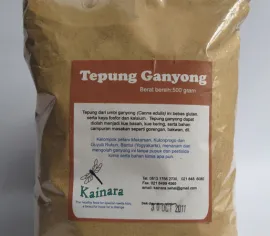 TEPUNG/PATI Tepung Ganyong